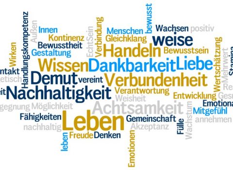 Werte-Integrative Zielerreichung WIVA – Sa. 18. Juni 2016